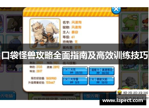 口袋怪兽攻略全面指南及高效训练技巧