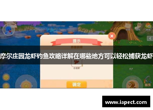 摩尔庄园龙虾钓鱼攻略详解在哪些地方可以轻松捕获龙虾