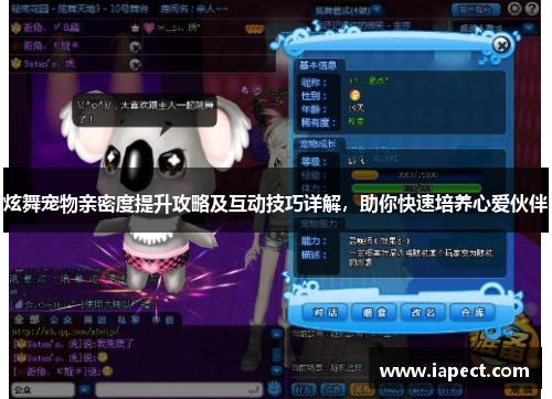 炫舞宠物亲密度提升攻略及互动技巧详解，助你快速培养心爱伙伴